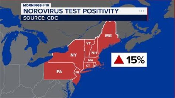 Current Stomach Virus Outbreak Map: Stay Informed And Protected