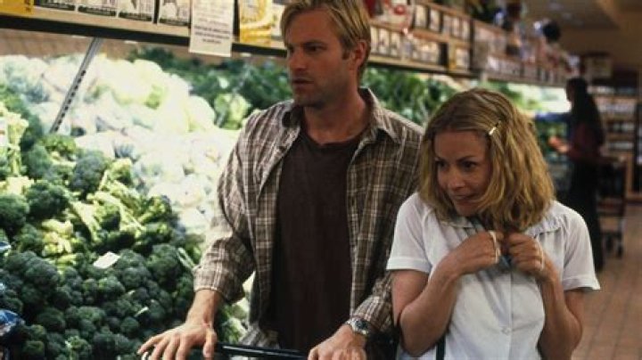 The Ultimate Guide To Elisabeth Shue TV Shows