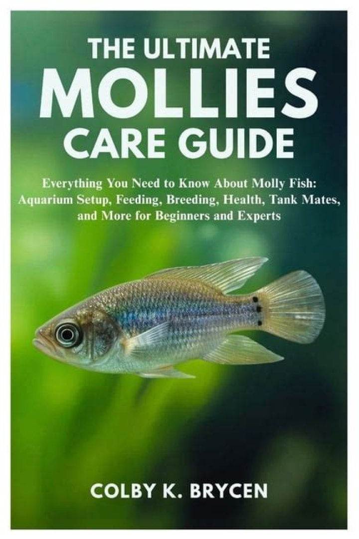 The Ultimate Guide To Molly Nobligg: Everything You Need To Know