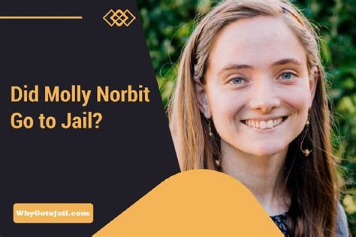 Uncovering The Truths Behind Molly Norbit's Jail Sentence