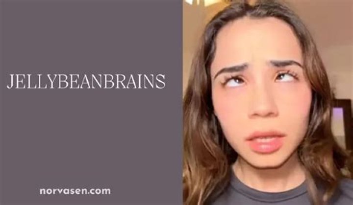 Unraveling The Secrets: Jellybeanbrains Data Breach Exposed